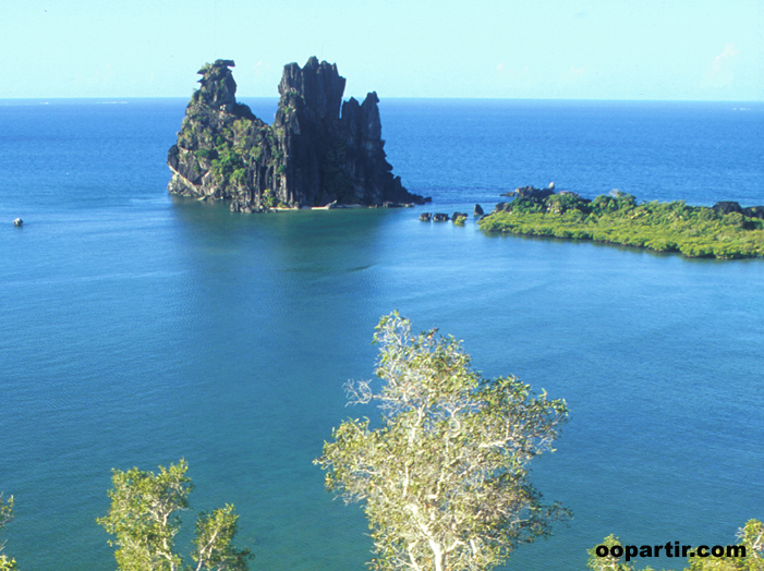 Poule de Hienghène, nord Grande-Terre © NCT