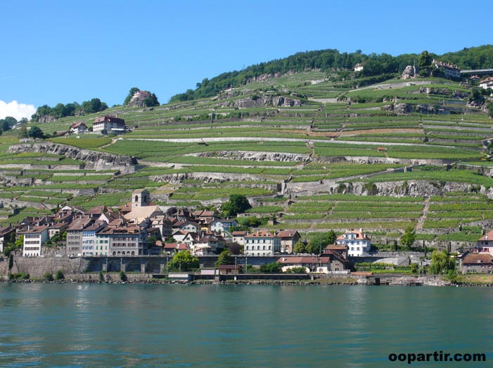 Village de Saint-Saphorin, lac Léman  © VDM