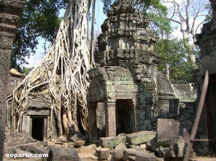 Ta Prohm, Angkor