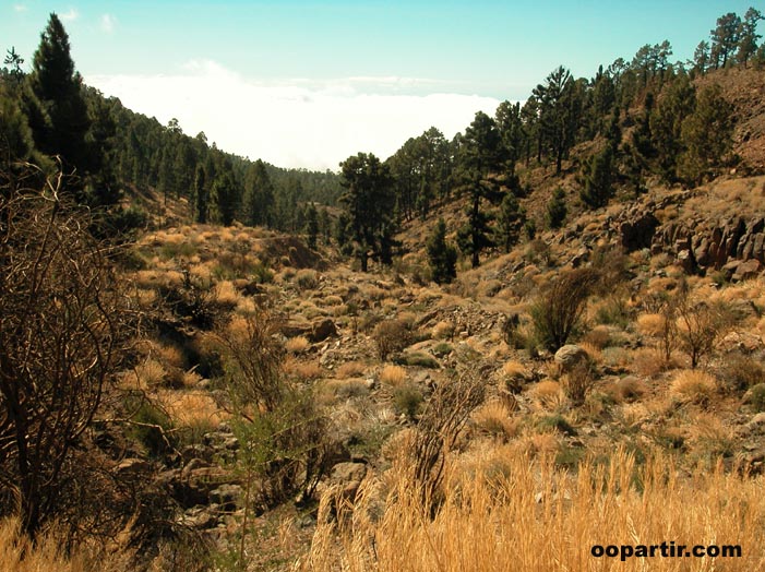 Paysage, Tenerife © oopartir.com