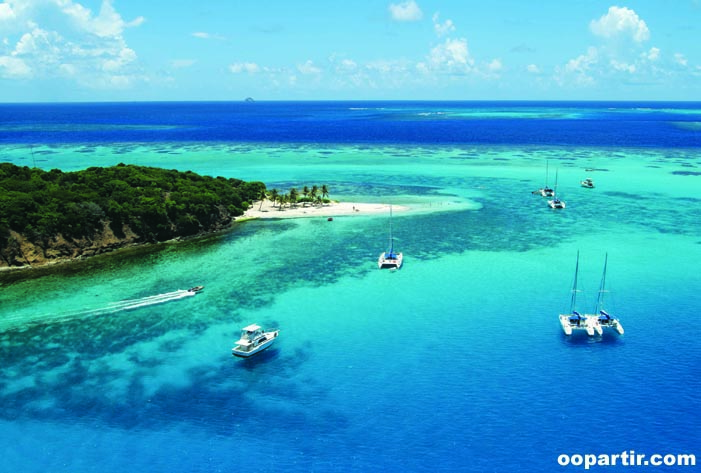 Tobago Cays © www.insandoutsofsvg.com