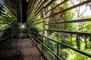 Jardins Albert Kahn : voyage aux portes de Paris