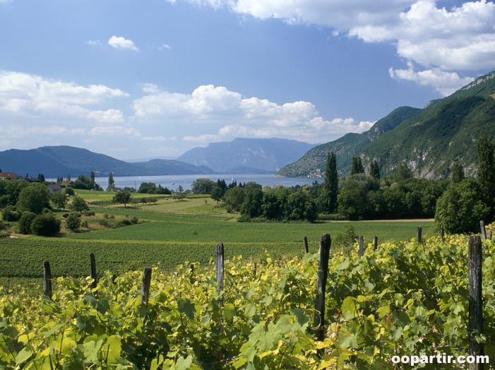 Vignobles du lac du Bourget © Rhône-Alpes