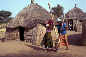 Le Faux lion, f�te traditionnelle <br>pour les enfants <br> � Interface Tourism