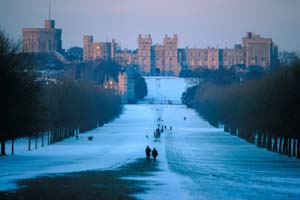 Windsor